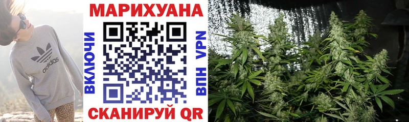 Купить закладку ГАШИШ  Каннабис  СК  Меф мяу мяу  Новосибирск