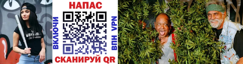 Бошки Шишки планчик  Купить где  Новосибирск 